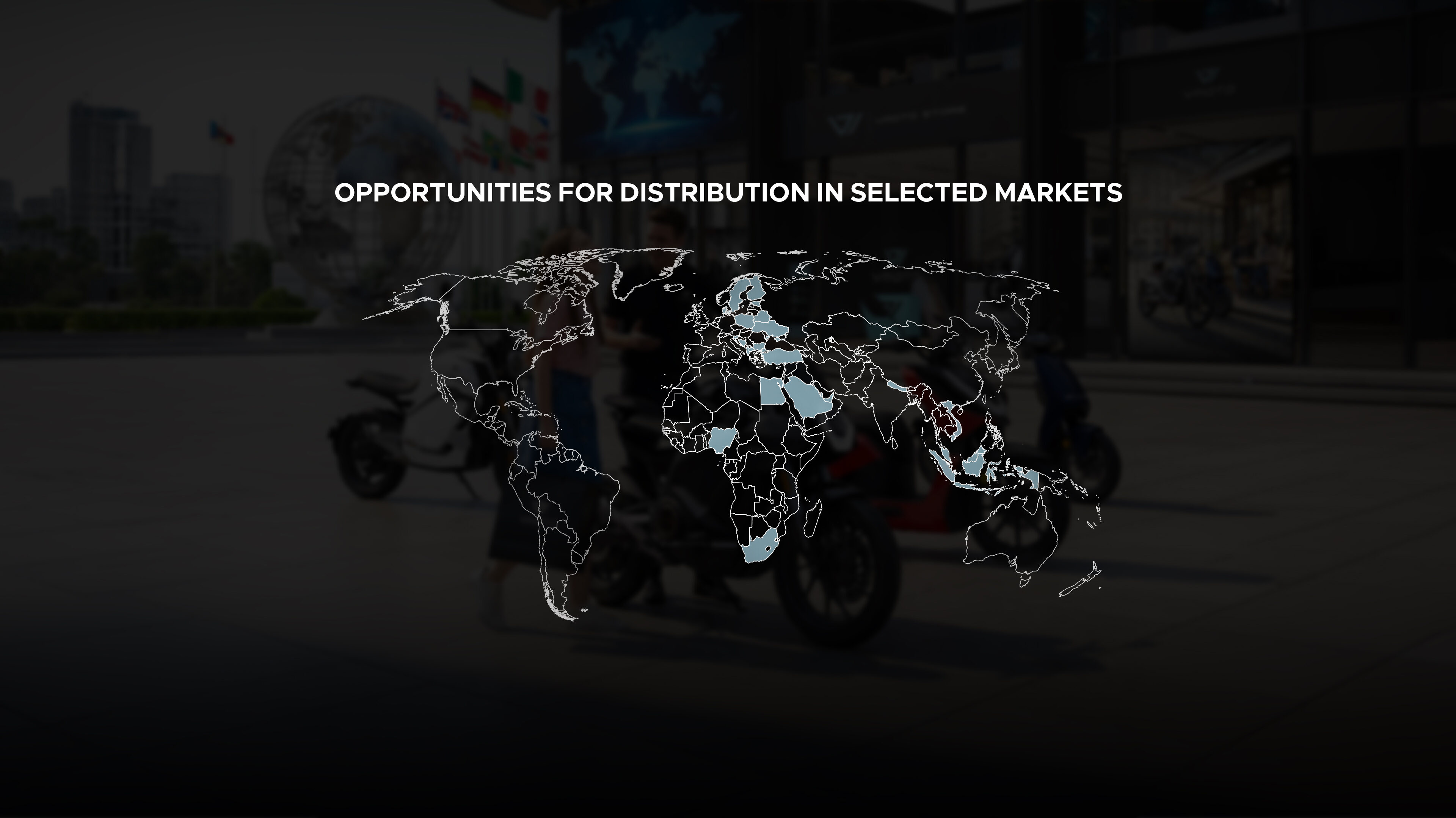 NEW B2 C DISTRIBUTORS BANNER DEFINITIVO 3